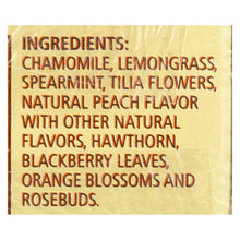 Load image into Gallery viewer, Celestial Seasonings Herbal Tea Sleepytime P - Case Of 6 - 20 Bag