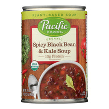 Load image into Gallery viewer, Pacific Foods - Soup Spicy Black Bn Kale - Case Of 12-16.3 Oz