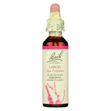 Load image into Gallery viewer, Bach Flower Remedies Essence Larch - 0.7 Fl Oz