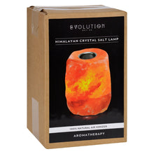 Load image into Gallery viewer, Evolution Salt Crystal Salt Lamp - Aromatherapy - 1 Count