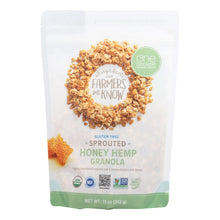 Load image into Gallery viewer, One Degree Organic Foods Sprouted Oat Hemp Granola - Honey - Case Of 6 - 11 Oz.